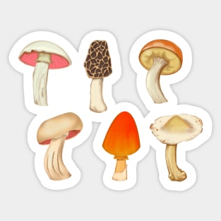 Mushrooms Sticker